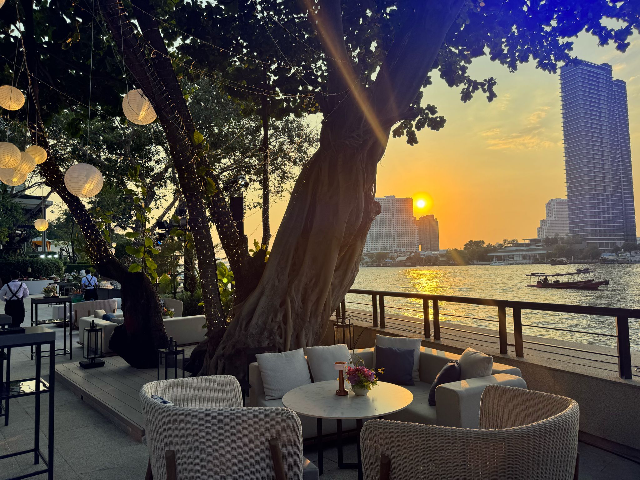 A table and chairs under a tree by a body of water