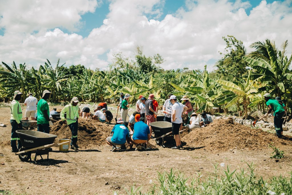 A group of digging in a field.