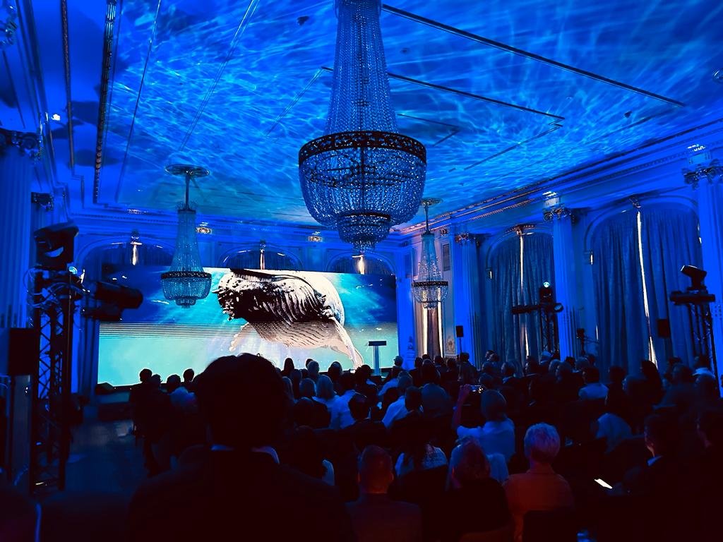 People looking at a screen.